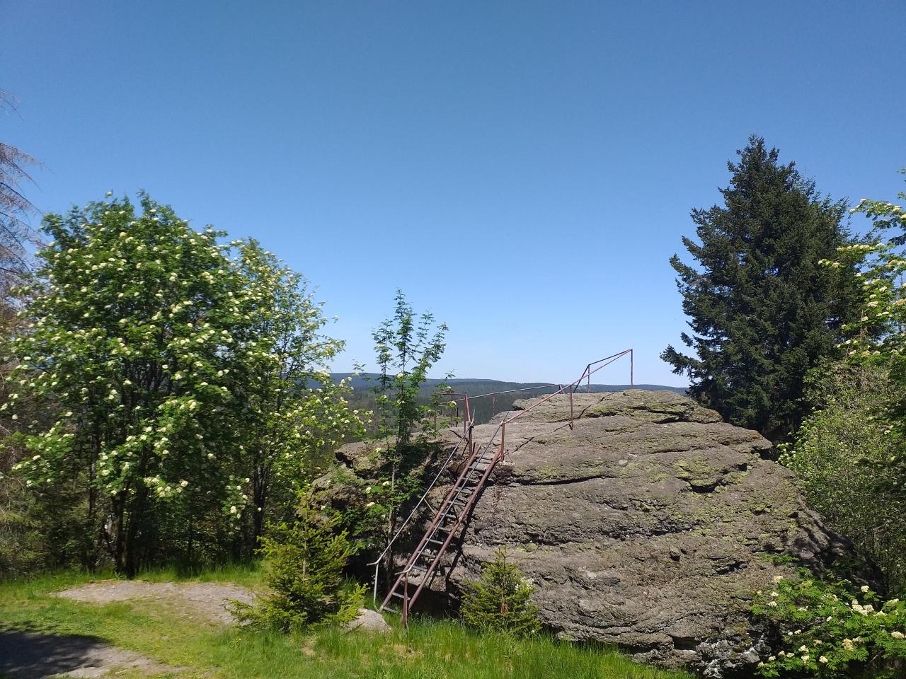 Eisenleiter führt auf einen Gesteinsbrocken im Thüringer Wald