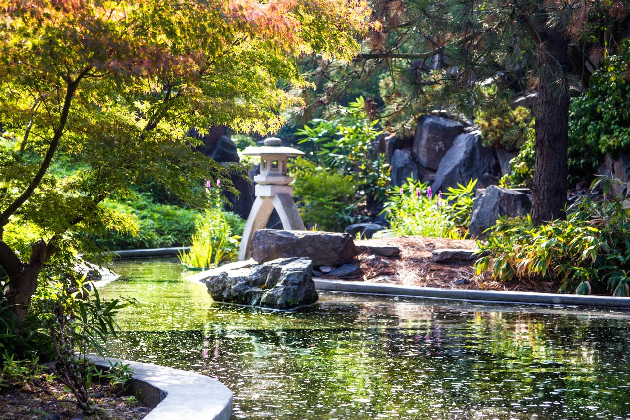 Teich im Herbst im Japanischen Garten, egapark in Erfurt